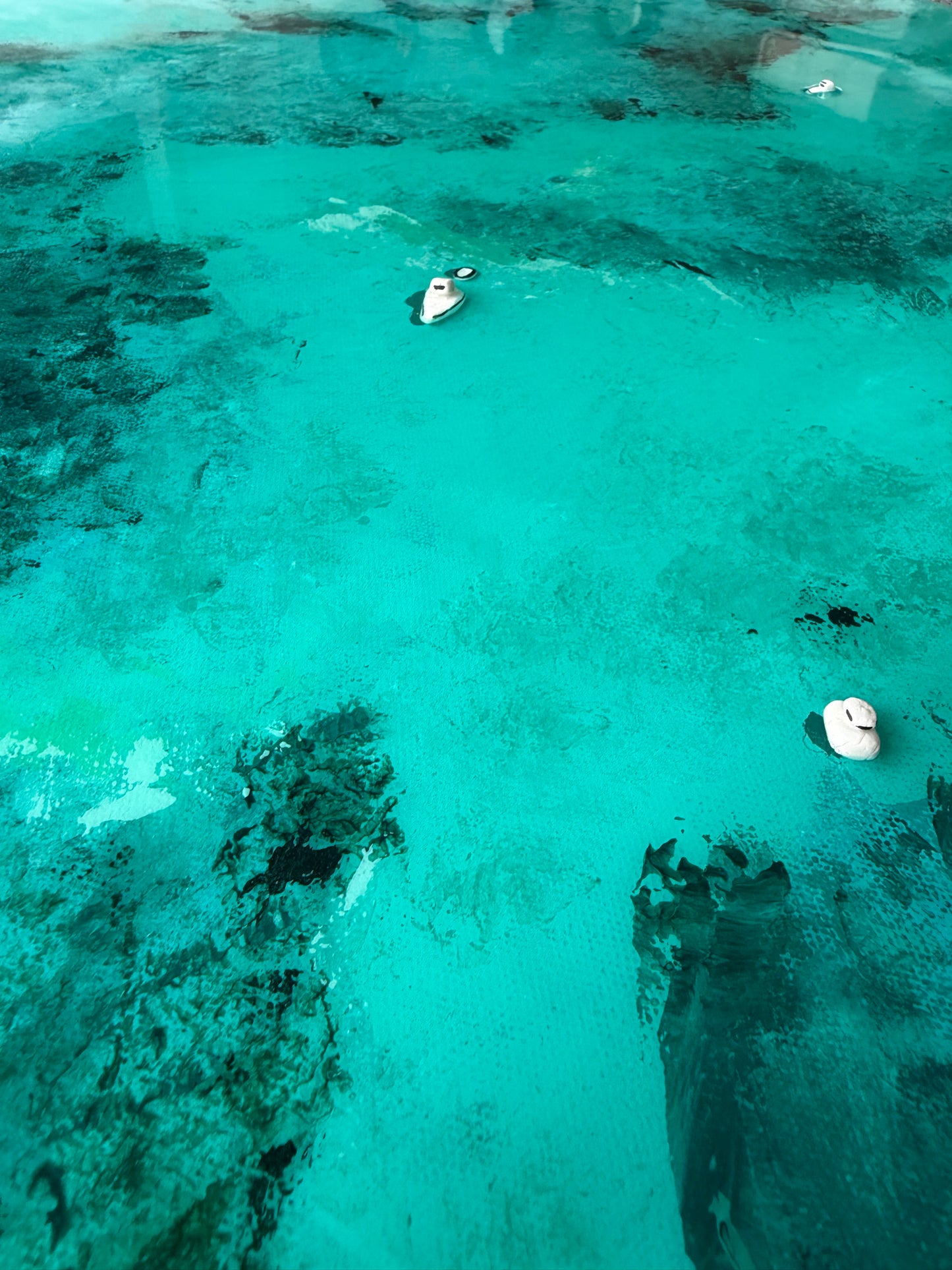 Letter of Anchor and Drift